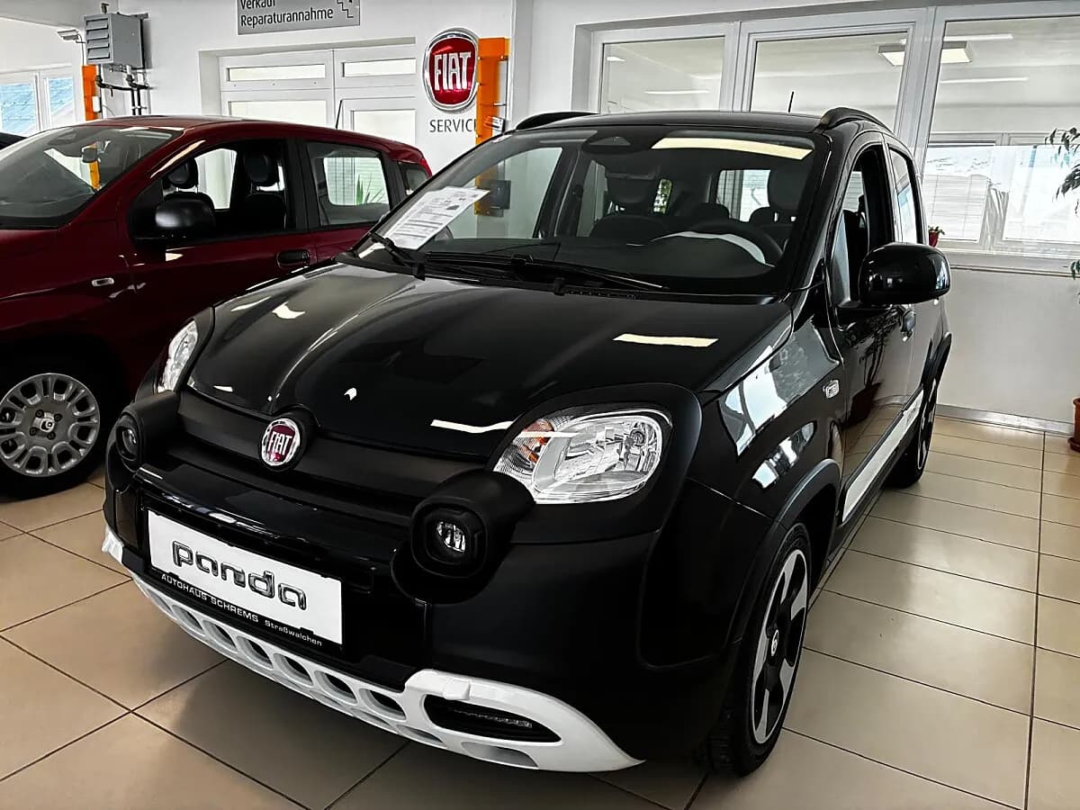 Fiat Pandina