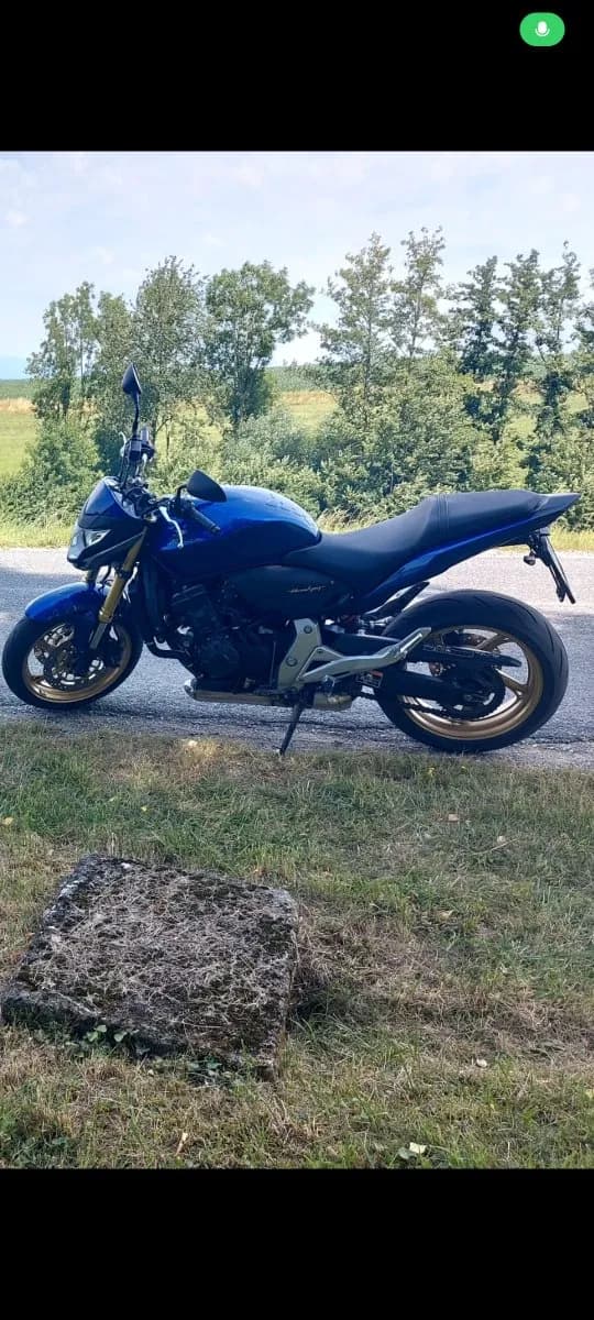 Honda Hornet