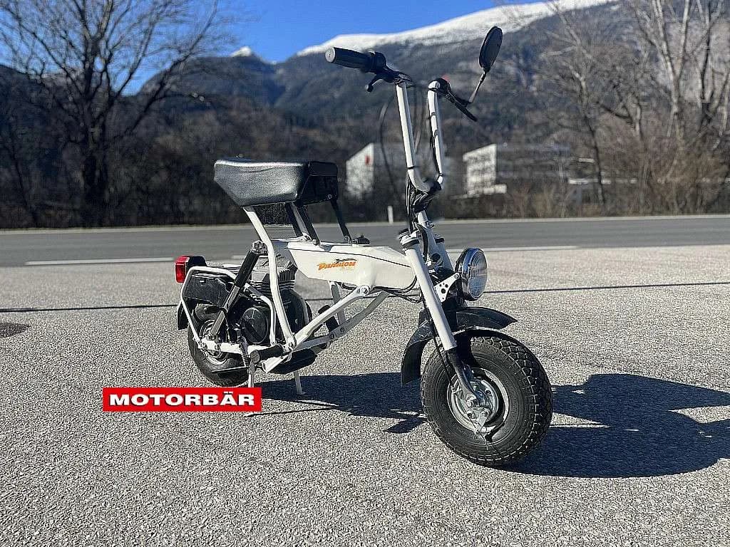 Sonstige Sonstige 1995 – € 2.999, 999 km – Bild 1 von 5