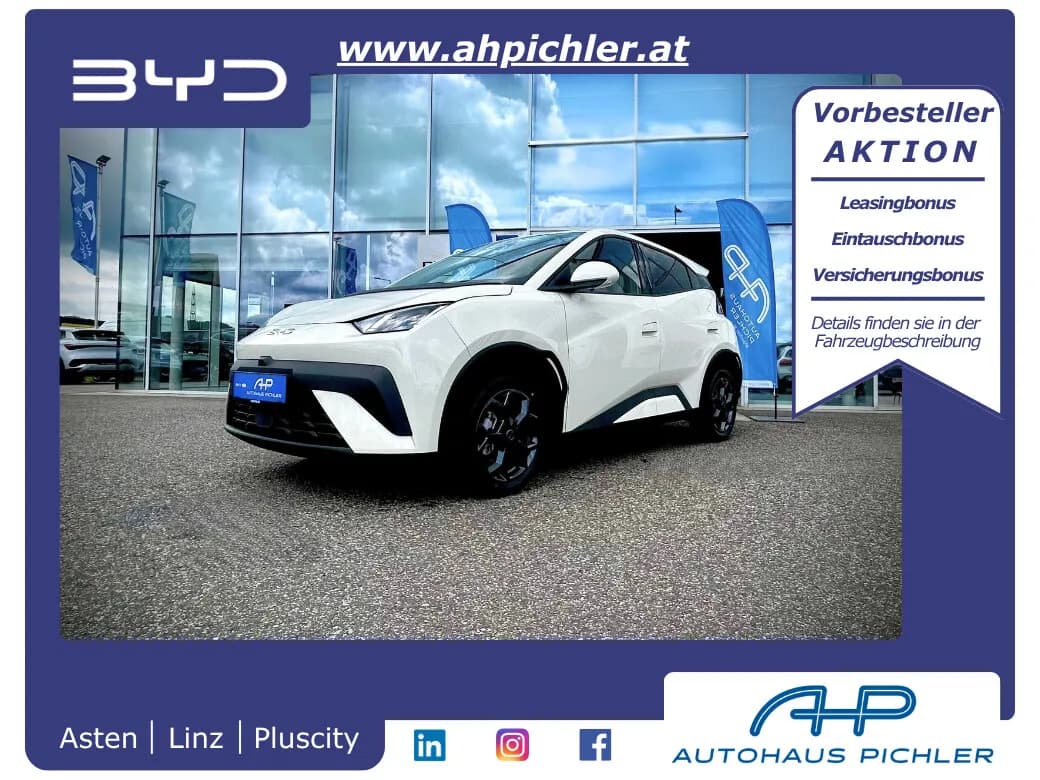 BYD Dolphin Surf – € 24.330, 10 km – Bild 1 von 16