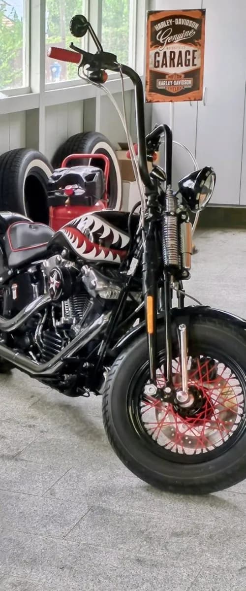 Harley-Davidson Softail