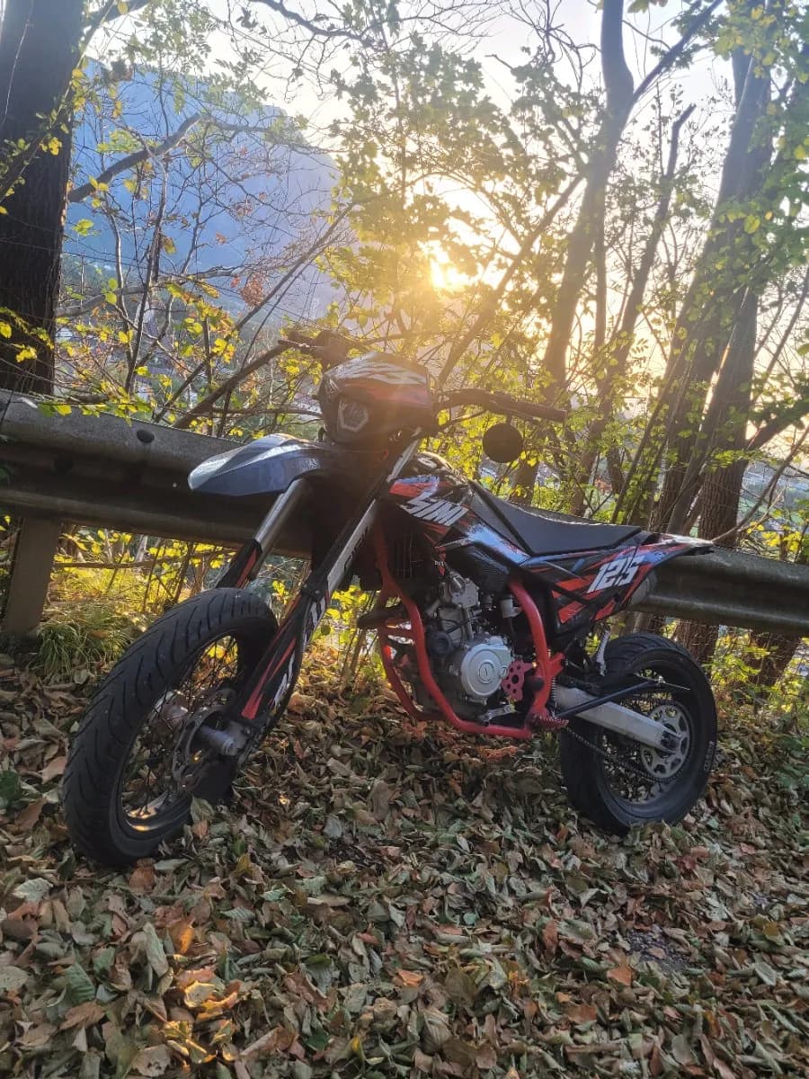 Beta RR