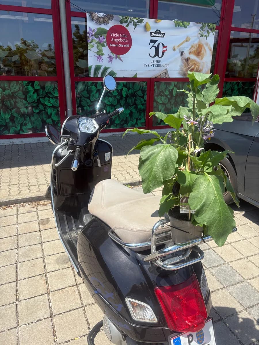 Vespa GTS 2009 – € 2.199, 295 519 km – Bild 1 von 5