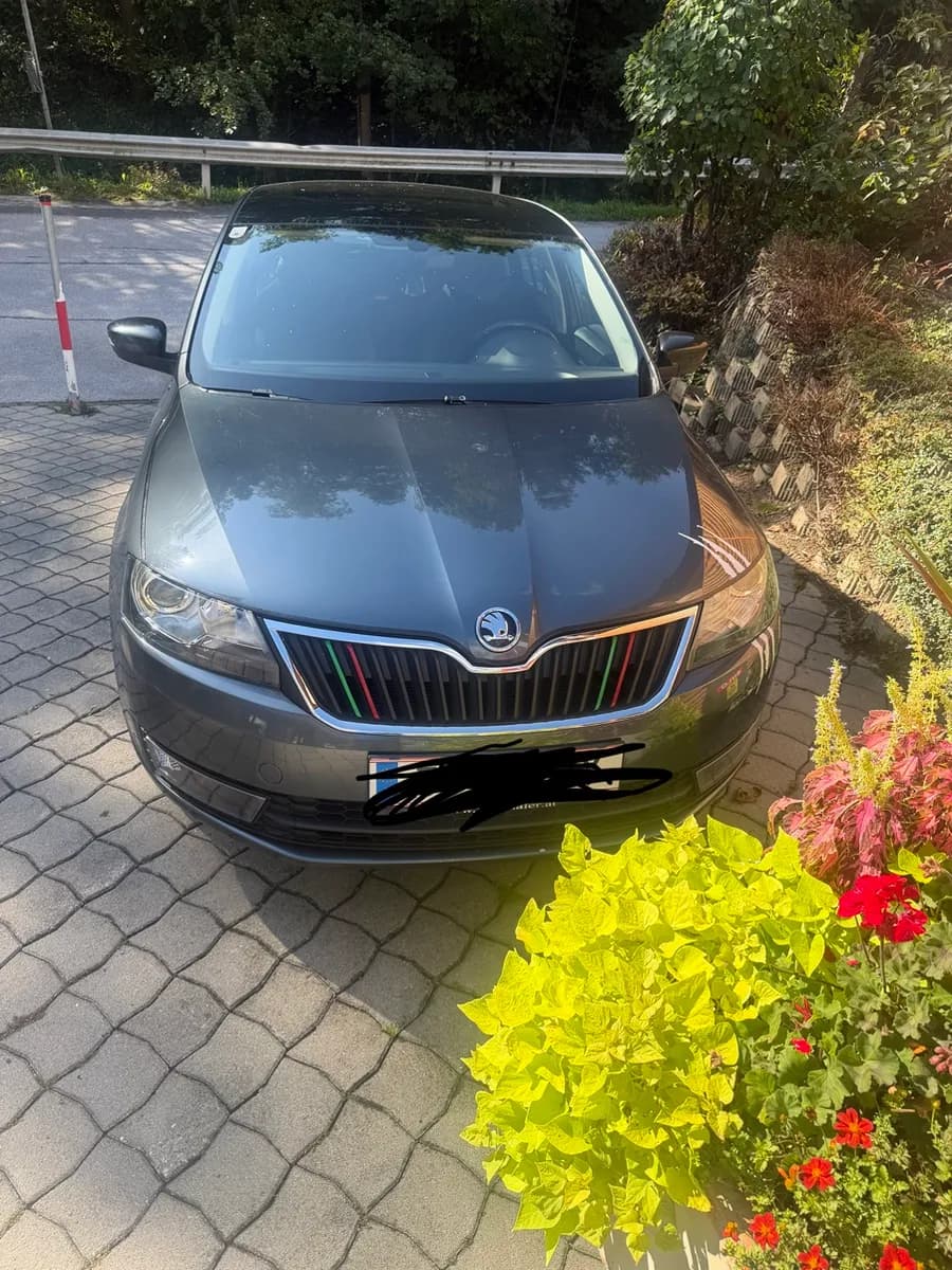 Skoda Rapid