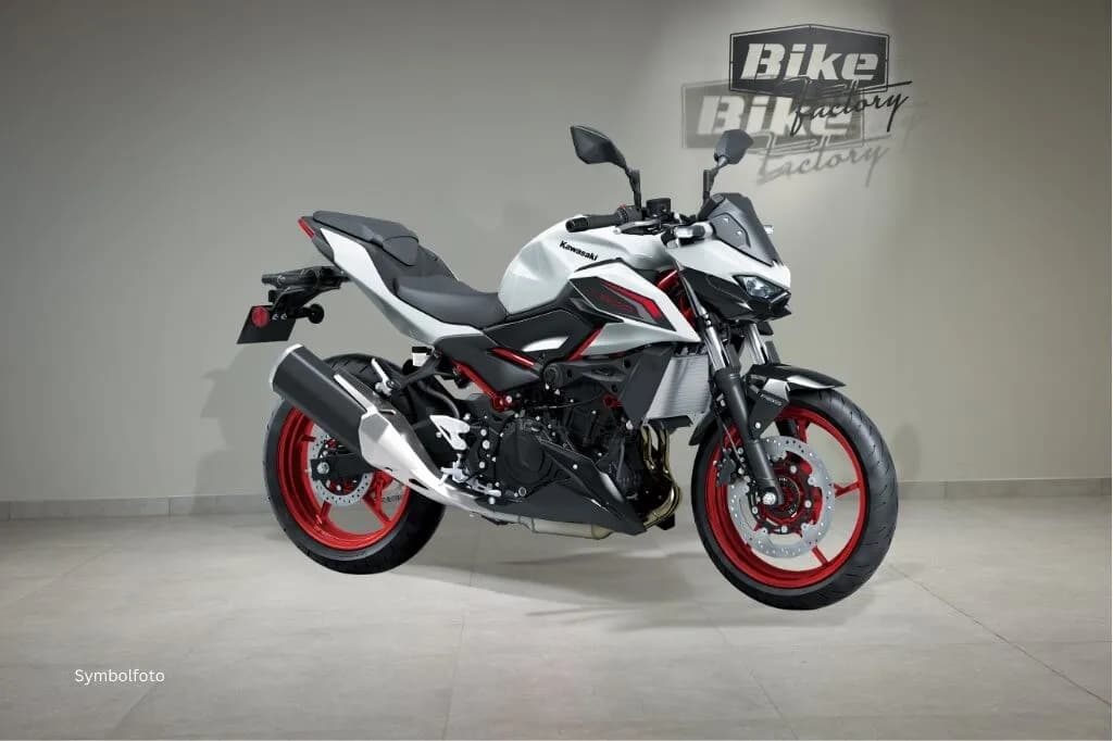 Kawasaki Z – € 6.599, 0 km – Bild 1 von 4