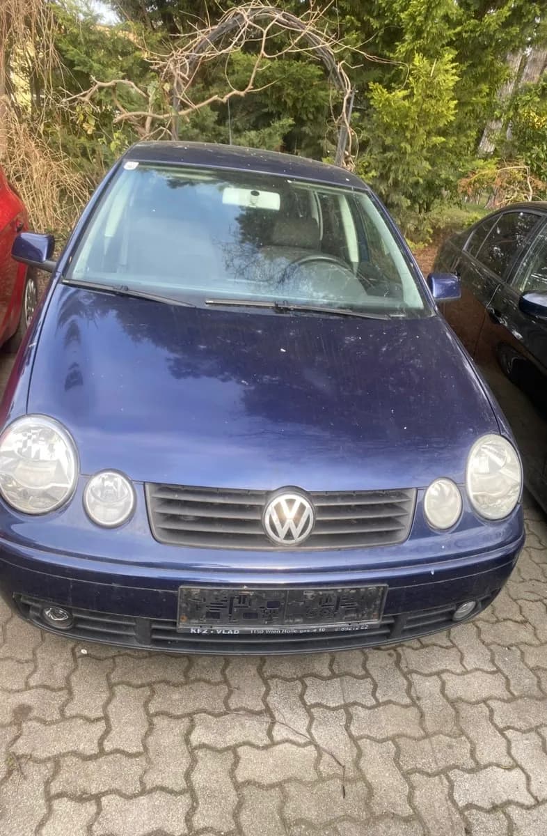 VW Polo