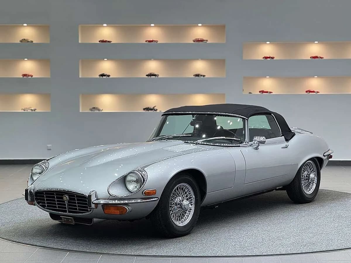 Jaguar Sonstige