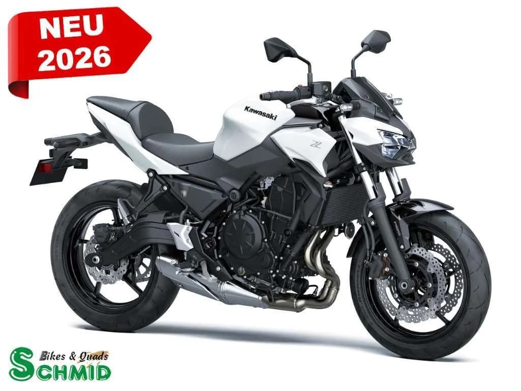Kawasaki Z – € 7.799, 0 km – Bild 1 von 2