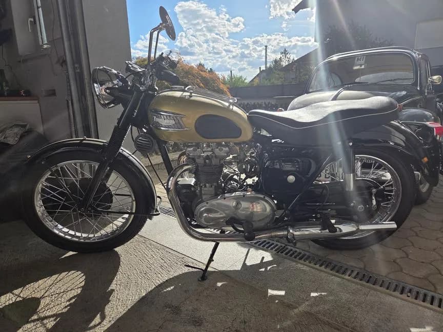 Triumph Tiger