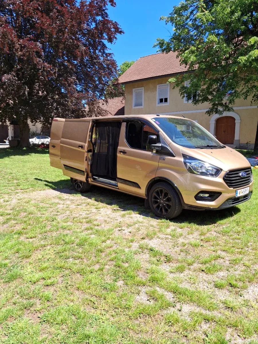 Ford Costum