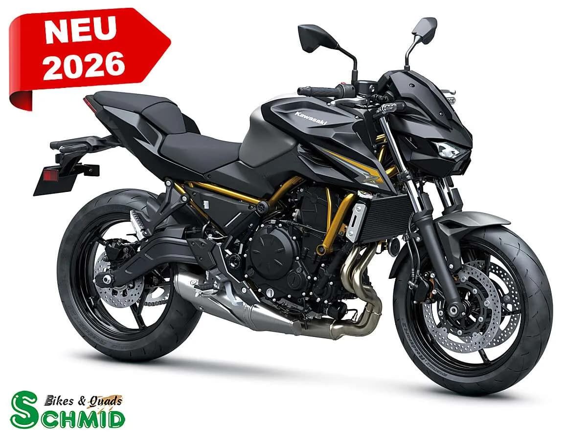 Kawasaki Z – € 7.899, 0 km – Bild 1 von 2