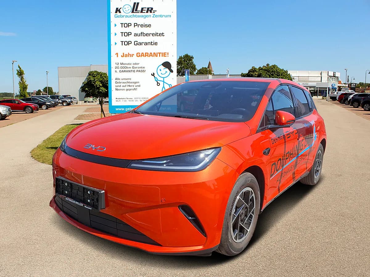 BYD Dolphin G