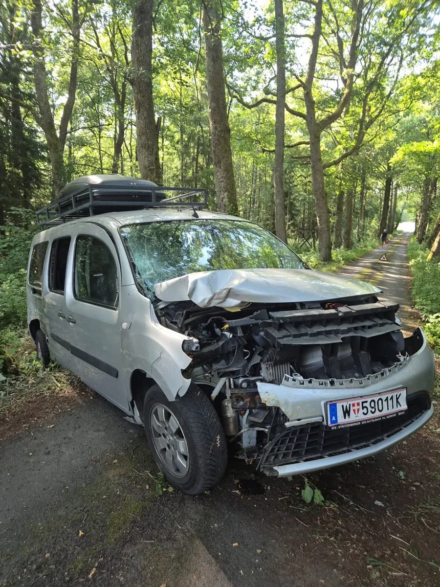 Mercedes-Benz Citan 2018 – € 1.234, 100 000 km – Bild 1 von 8