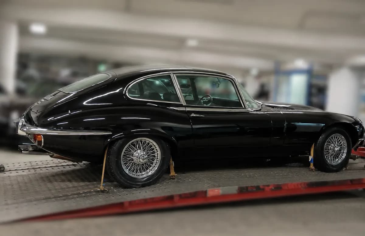 Jaguar Sonstige