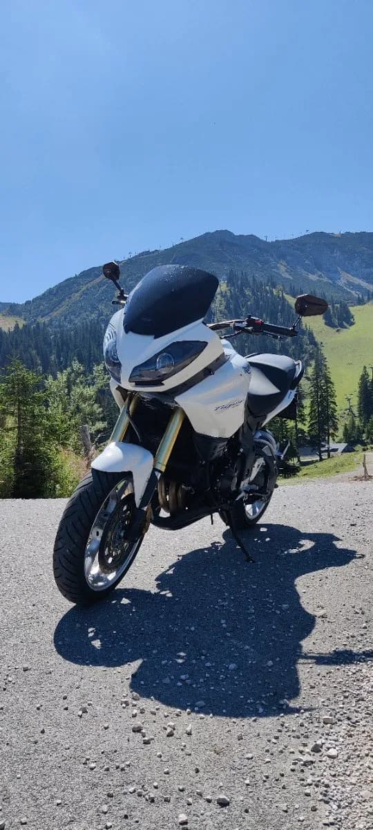 Triumph Tiger